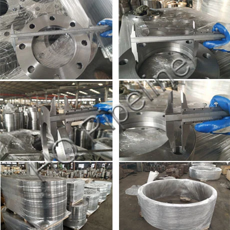 ANSI 150/Dn/As4087 Forged Stainless Steel/Galvanized Flanges Backing Rings